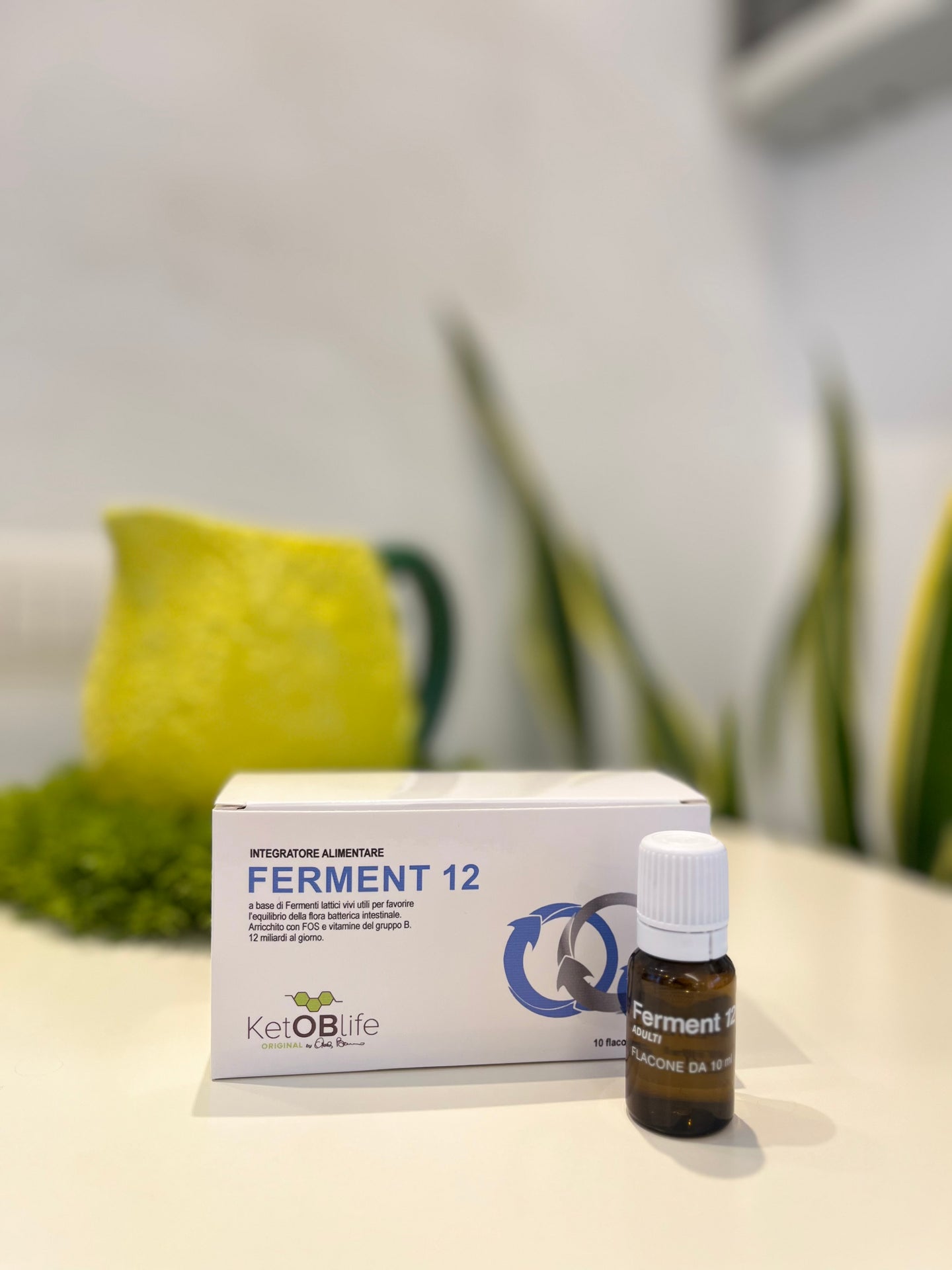 FERMENT 12