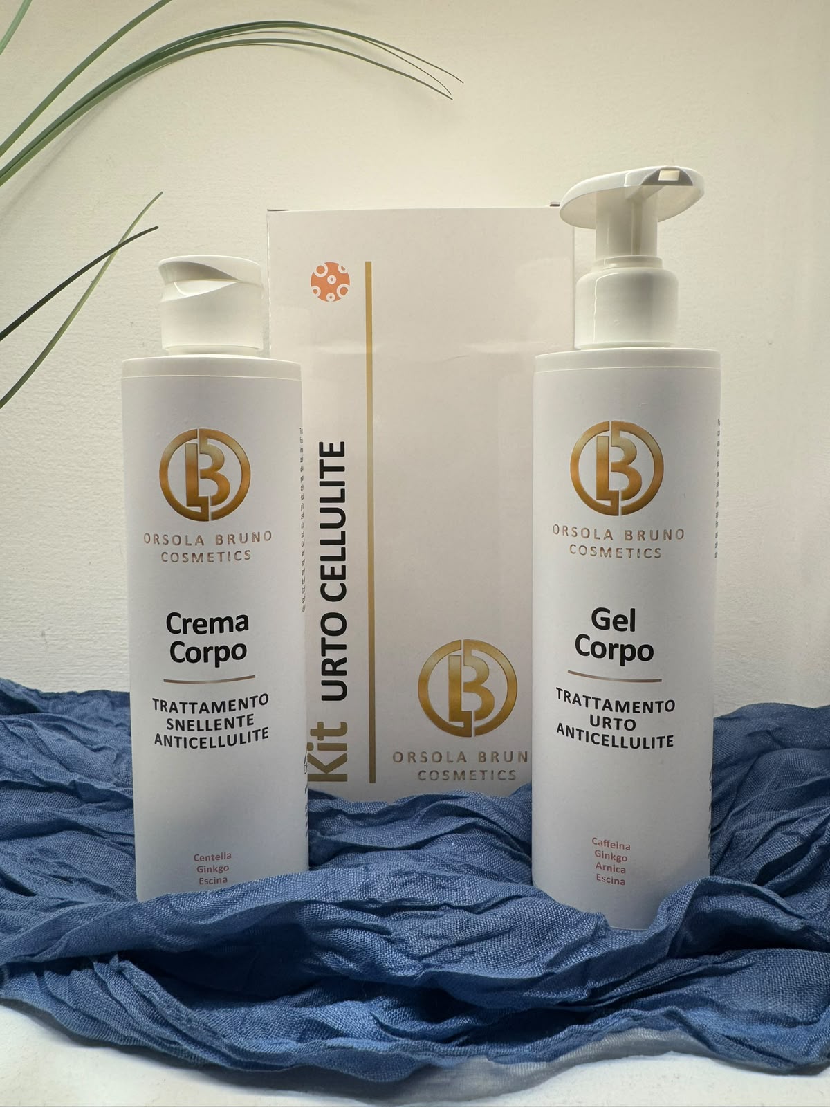 Kit Urto Cellulite